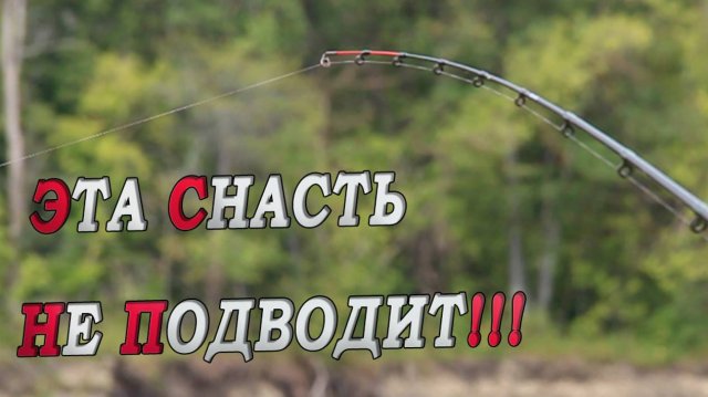 КУДА МНЕ СТОЛЬКО РЫБЫ???ЛЕЩ на фидер! Поклёвки крупным планом! Рыбалка на леща!