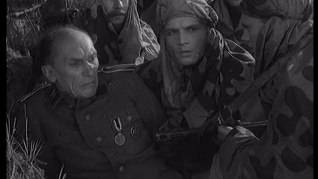 Звезда (1949)