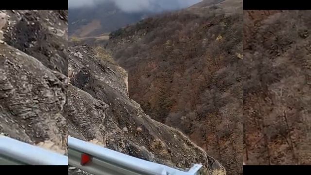 Шабан Шабанов, Джамиля