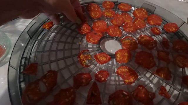 Вяленые помидоры в сушилке для овощей и фруктов!!! Очень вкусный завтрак!