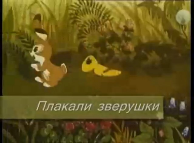 Плакали зверушки