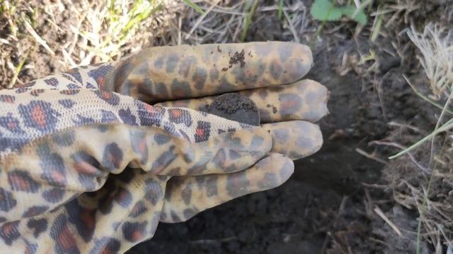 Коп 2022. А как всё начиналось! Женский коп монет с металлоискателем.