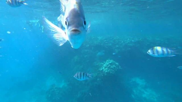 Вокруг Света - Египет