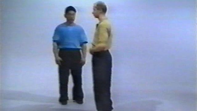 Багуачжан стиль Гао. Техника и применение