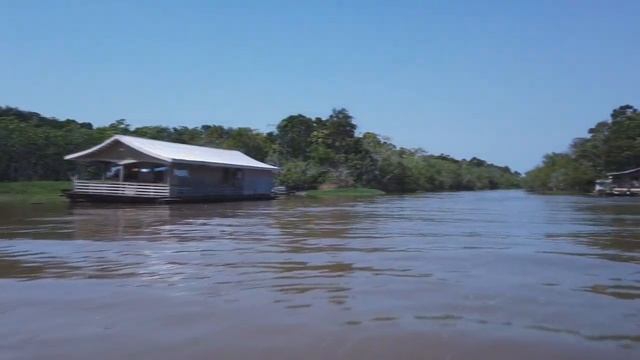 Природа дикой реки Амазонки