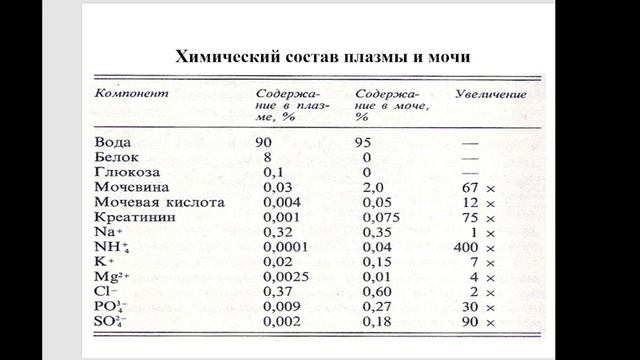 Частная биохимия. Почки и моча. часть 3. 2023