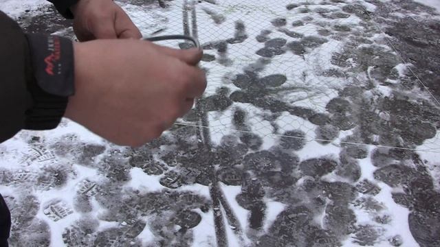 Лучшая ловушка для птиц /// Очень легко сделать // А работает отлично