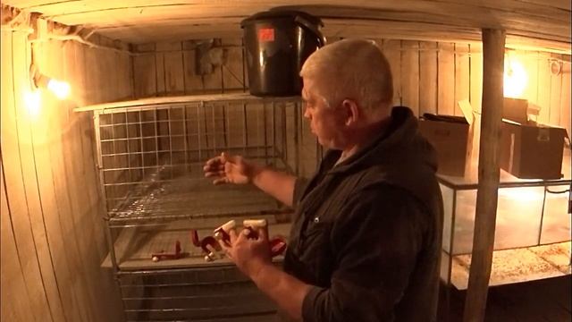Клетка для бройлеров своими руками Размер клетки , материал для клетки