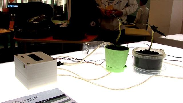 «Донская сборка» 2021