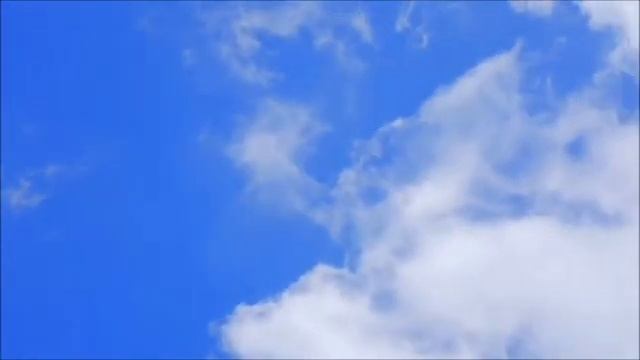 ГОЛУБЫЕ ПОГОНЫ 2021 год