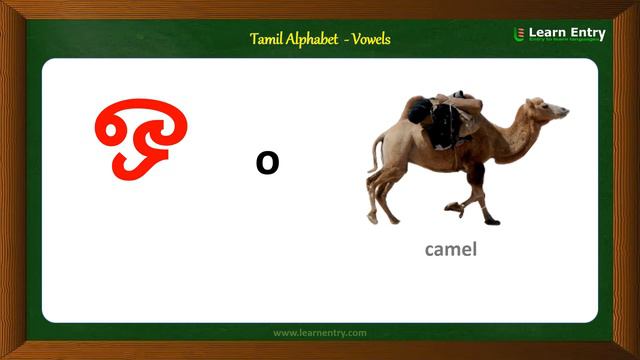 Tamil alphabets | Tamil Vowels | Learn Entry