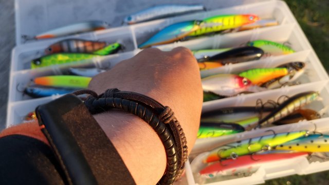 Годовой отчёт 2021 по воблерам - УЛОВИСТЫЕ ПРИМАНКИ и в чём их храню (коробки и сумки под воблера)