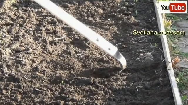 ЧЕМ ОБЕЗЗАРАЗИТЬ ПОЧВУ ОСЕНЬЮ ОТ БОЛЕЗНЕТВОРНЫХ ГРИБКОВ ПОСЛЕ СБОРА УРОЖАЯ,ЧЕМ УДОБРИТЬ ГРЯДКИ?