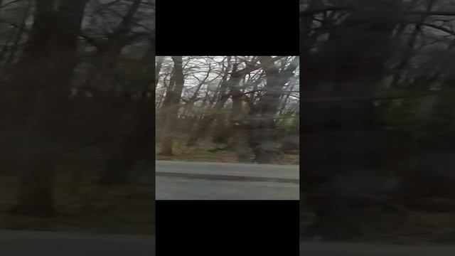 VID20230425185532