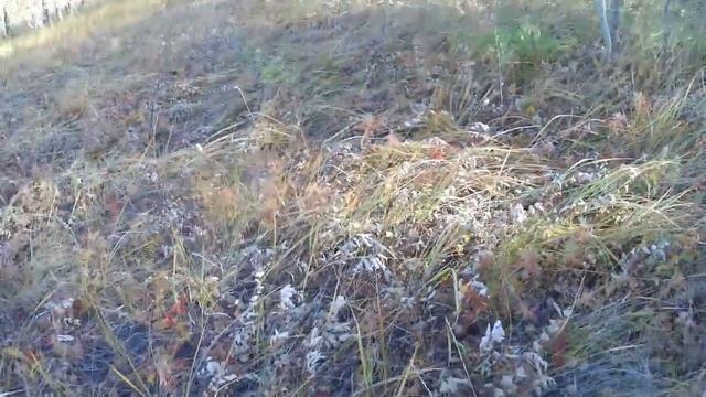 ПО ПОЛЯМ ,ПО ЛЕСАМ  ИЩЕМ МЕТАЛЛ.mp4