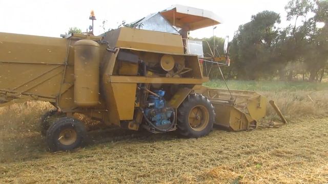 Зерновой комбайн Сампо Sampo Rosenlew 500 убирает огород.