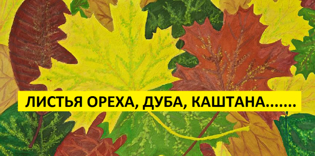 Листья грецкого ореха - мульча.