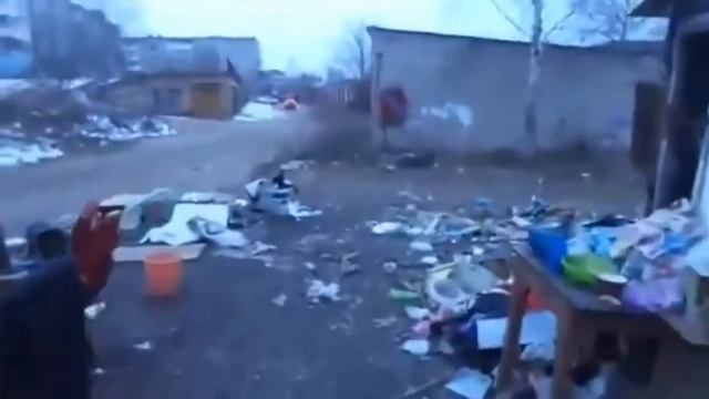 пророк санбой пара гнедых