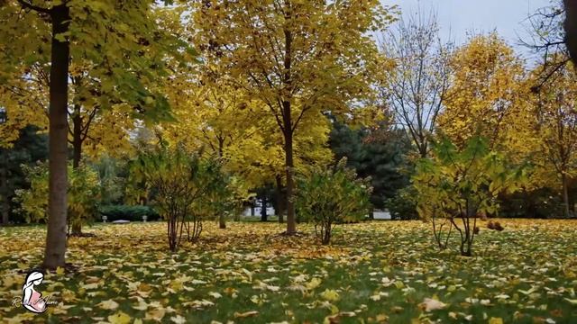 ? Музыка для беременных для плода ♥ Развитие мозга ♥ Умный ребенок в утробе матери