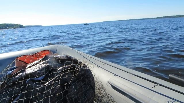 Ловля сома на квок на водохранилище
