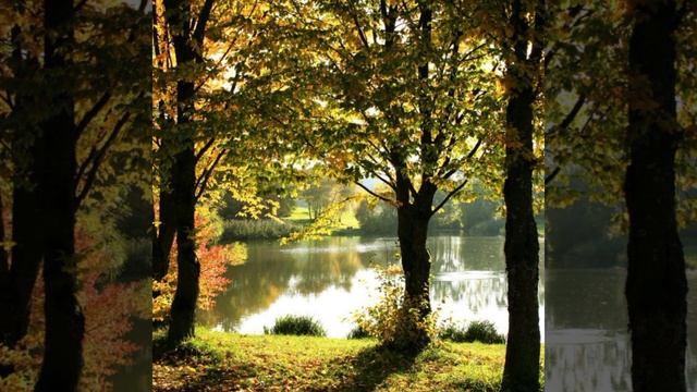 Антонио Вивальди сентябрь осень(времена года)