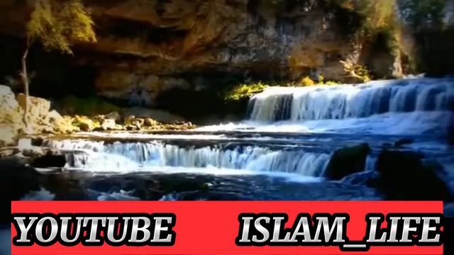 аминтаза нашид каждое утро #нашид #АМИНТАЗА #islam_life