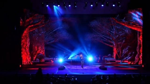 Дмитрий Венгеров - Кукла колдуна (LIVE)