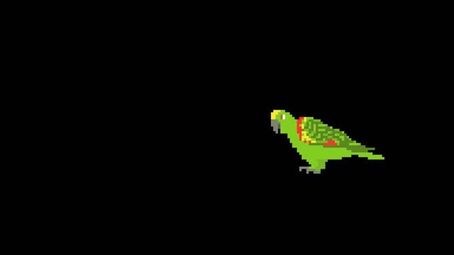 Birds - The Kids' Picture Show