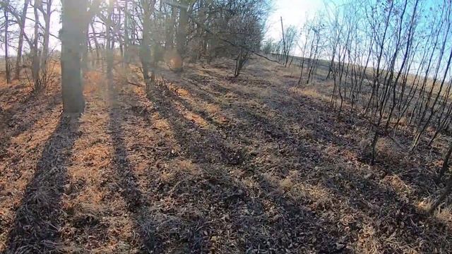 Охота на зайца в Краснодарском крае 2019\\Охота на зайца осенью\\Охота на Кубани 2019 18+