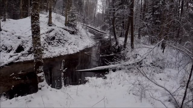 Охота на куницу. Проверка капканов (Будни охотника и рыбака)