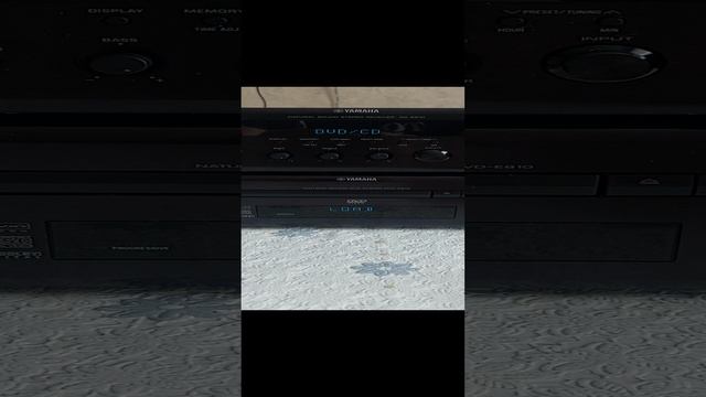 20231208_104909.mp4
