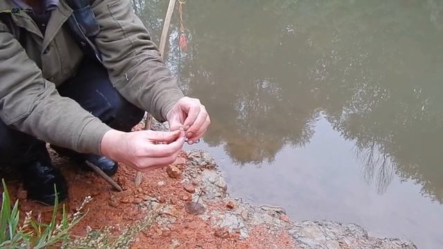 Рыбалка на речке на куриную печень.