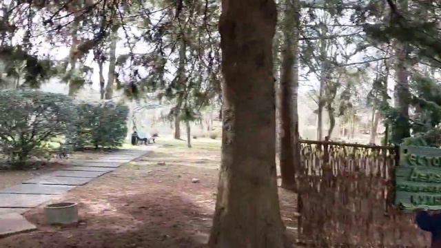 Абхазия, Санаторий Самшитовая Роща, март 2024