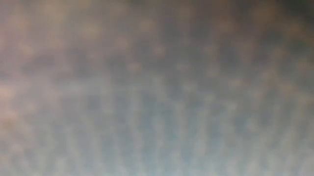 Песенка про Федю(У меня беда со слухом наступил медведь на ухо. Отдавил мне ухо или два(наброски)