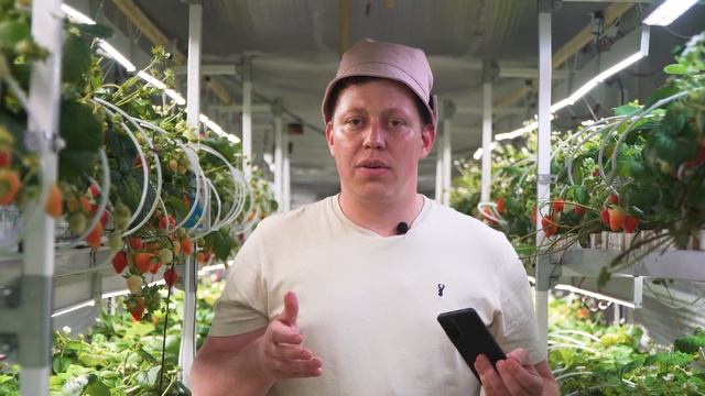 Ангар Серия 5. Слишком много ягоды