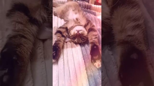 Милаха♥️♥️♥️