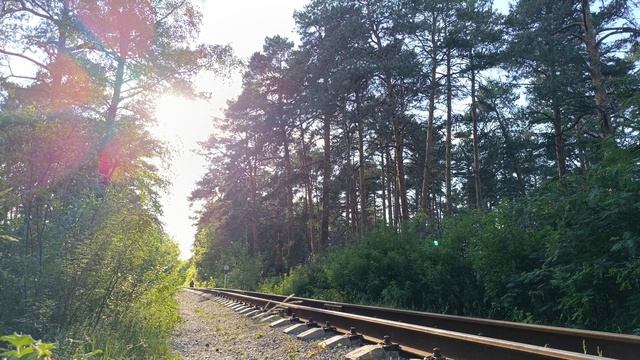Звуки природы