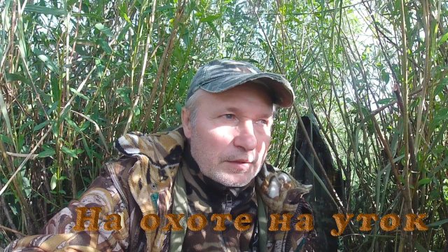 Открытие осенней охоты на уток с подсадной. Много уток.