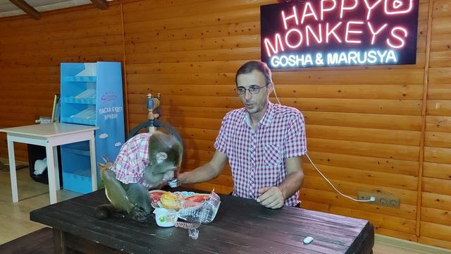 Гоша в доме в игровой