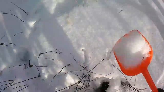 ставим капканы и петли на зайца и лису, часть 2