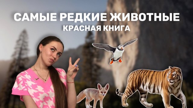 ЖИВОТНЫЕ ИЗ КРАСНОЙ КНИГИ