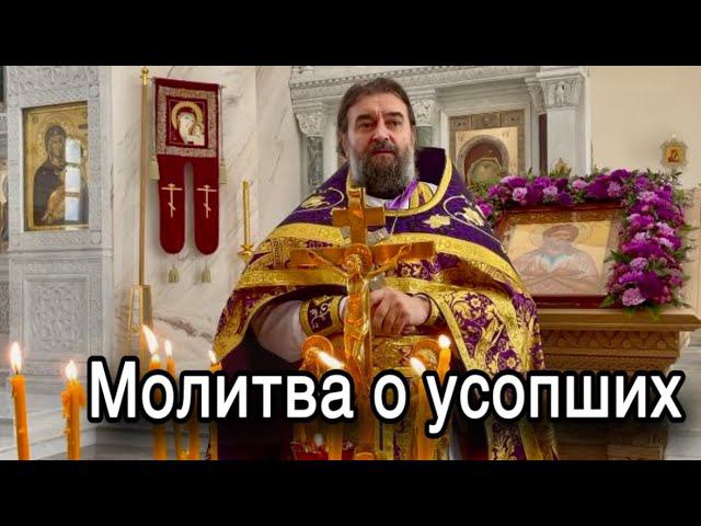 Человеку нужно остановиться. Отец Андрей Ткачёв