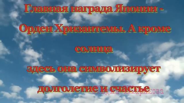 Хризантемы  -  загадочные цветы.Легенды о цветах
