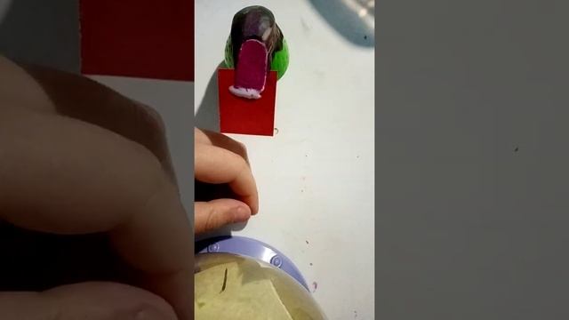 Как сделать накладные ногти.