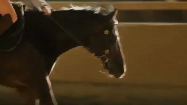 Клип || Восточный ветер ||