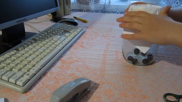 Бесплатная ловушка для фруктовых мошек дрозофил в домашних условиях!!!