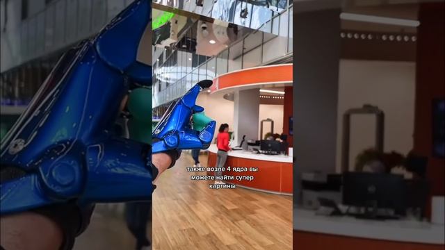 Что посмотреть в Сколково?