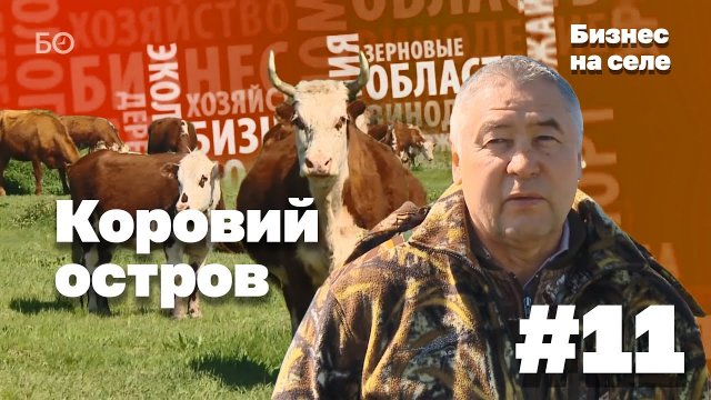 Бизнес на селе #11 | Коровий остров Фоата Комарова
