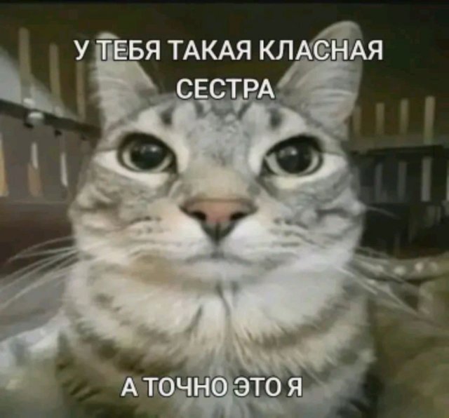 просто