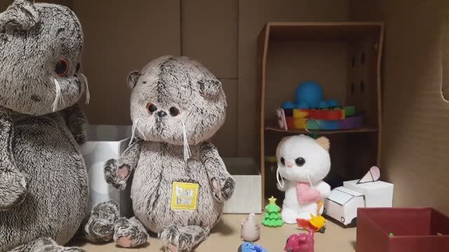 Басик ищет своё счастье!
